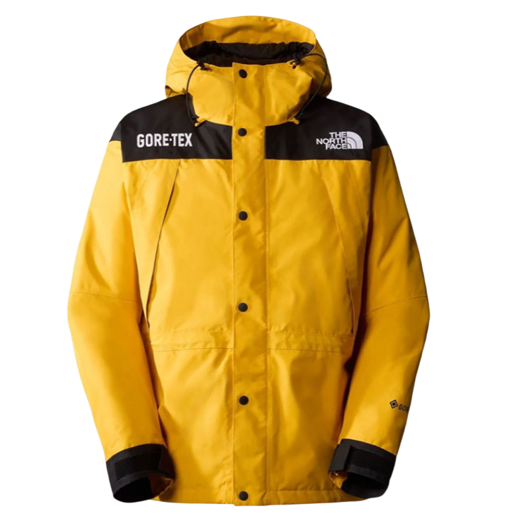 North Face Gore-Tex Jacket